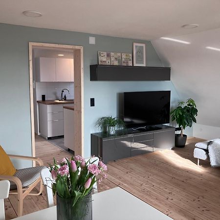 Ferienwohnung Weitblick 巴特舒森里德 外观 照片